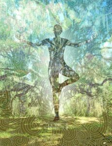 Ancient Oak Tree